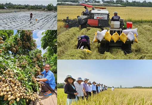 [LONGFORM] Những quyết sách lịch sử để ĐBSCL phát triển bền vững
