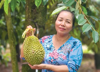 Phê duyệt chương trình Phát triển tài sản trí tuệ TP Cần Thơ