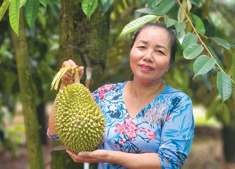 Phê duyệt chương trình Phát triển tài sản trí tuệ TP Cần Thơ