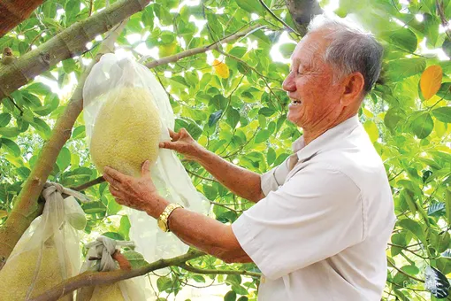 Nhạy bén chuyển đổi sản xuất để làm giàu