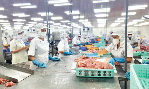 Để hàng hóa Việt vững tin “Go Global”