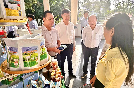 Tân Hòa hướng đến sản xuất theo chuỗi giá trị