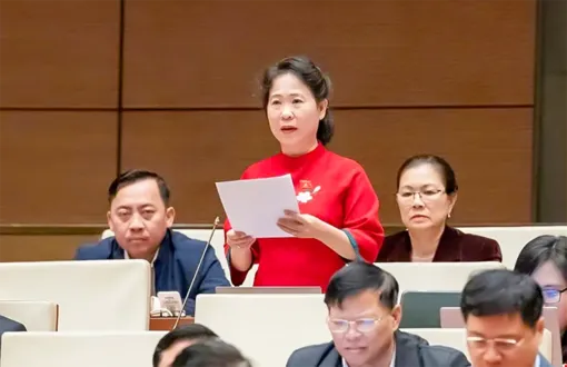 Đại biểu Tô Ái Vang góp ý dự thảo Báo cáo công tác nhiệm kỳ khóa XV của Quốc hội