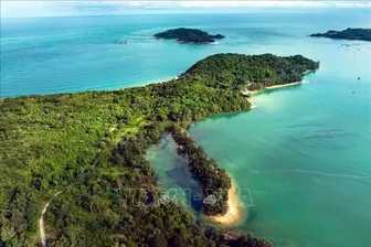 Khu bảo tồn biển Cô Tô - Đảo Trần: Phát triển kinh tế biển xanh