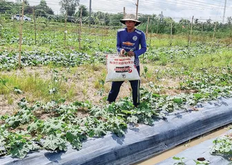 Quản lý cỏ dại trong trồng trọt bằng các giải pháp thân thiện với môi trường Quản lý cỏ dại trong trồng trọt bằng các giải pháp thân thiện với môi trường