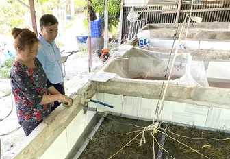 Đa dạng hóa sinh kế, tạo việc làm, tăng thu nhập cho người dân