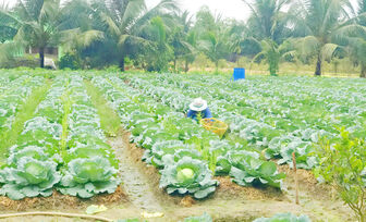 កា​មាវ ផ្សព្វ​ផ្សាយ​អនុ​វត្ត​គម្រោង​ឧបត្ថម្ភ​ប្រ​កប​មុខ​របរ​ចិញ្ចឹម​ជីវិត​