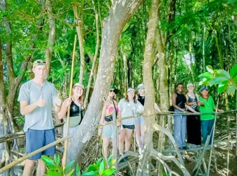 Khám phá "Cầu tre xuyên rừng" ở Cù Lao Dung