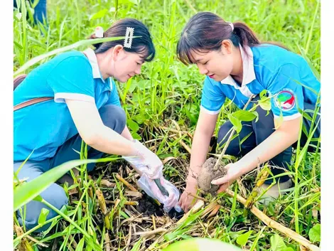 Đẩy mạnh phát triển rừng và cây xanh phân tán