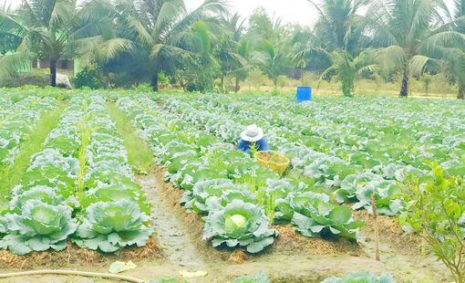 កា​ម៉ាវ ផ្សព្វ​ផ្សាយ​អនុ​វត្ត​គម្រោង​ឧបត្ថម្ភ​ប្រ​កប​មុខ​របរ​ចិញ្ចឹម​ជីវិត​