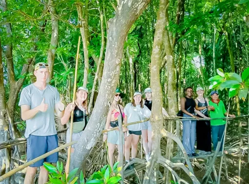 Khám phá 'Cầu tre xuyên rừng' ở Cù Lao Dung