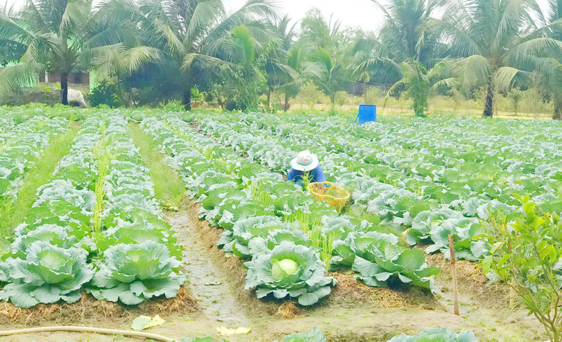 កា​មាវ ផ្សព្វ​ផ្សាយ​អនុ​វត្ត​គម្រោង​ឧបត្ថម្ភ​ប្រ​កប​មុខ​របរ​ចិញ្ចឹម​ជីវិត​