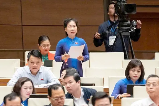 Đại biểu Quốc hội Tô Ái Vang góp ý dự thảo Luật sửa đổi, bổ sung một số điều Luật Thuế giá trị gia tăng