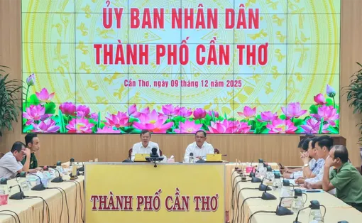 Tập trung hoàn thành báo cáo giải trình khuyến nghị của EC trước ngày 15-12, quyết tâm gỡ “thẻ vàng” IUU