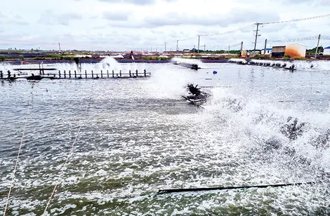 Khai thác tốt tiềm năng, lợi thế, đưa kinh tế - xã hội phát triển