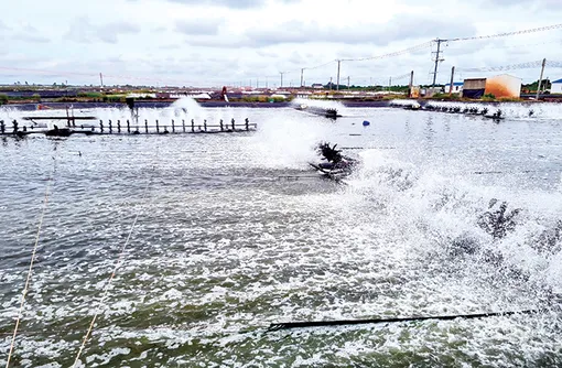 Khai thác tốt tiềm năng, lợi thế, đưa kinh tế - xã hội phát triển