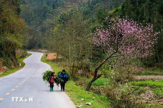 Cao nguyên đá Đồng Văn - Điểm đến văn hóa hàng đầu thế giới 2025 Cao nguyên đá Đồng Văn - Điểm đến văn hóa hàng đầu thế giới 2025