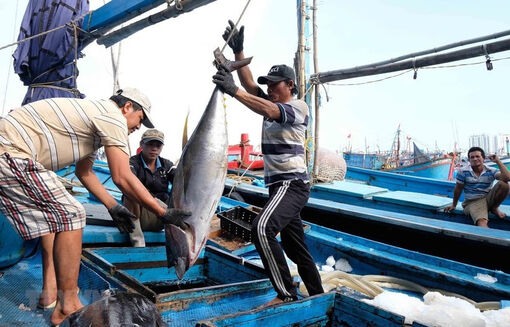 Vietnam’s aquatic sector on track to hit 11 billion USD in exports
