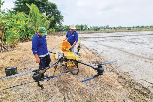 Quan tâm đẩy mạnh chuyển đổi số trong nông nghiệp