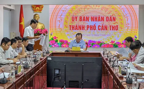 TP Cần Thơ tăng cường công tác chỉnh trang đô thị, vệ sinh môi trường