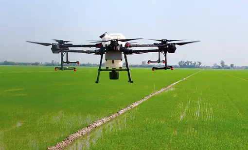 Nâng cao hiệu quả canh tác lúa bằng quy trình MRV