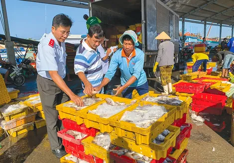 Giải pháp an toàn nuôi trồng và khai thác thủy sản đúng quy định