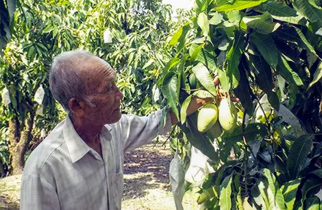 Tân Hòa phát huy lợi thế hạ tầng và nông nghiệp giá trị cao