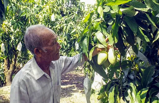 Tân Hòa phát huy lợi thế hạ tầng và nông nghiệp giá trị cao