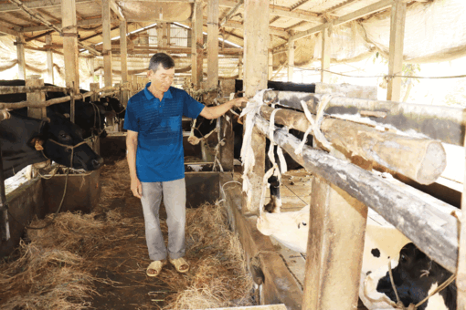 កសិករ​ខ្មែរ​ធ្វើ​សេដ្ឋ​កិច្ច​ពូ​កែ​