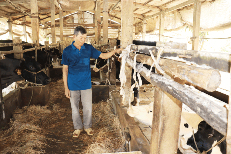 កសិករ​ខ្មែរ​ធ្វើ​សេដ្ឋ​កិច្ច​ពូ​កែ​