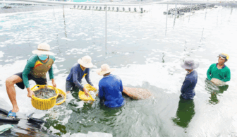 រួម​ដំ​ណើរ​ជា​មួយ​កសិករ​ក្នុង​ល័ក្ខ​ខ័ណ្ឌ​ប្រែ​ប្រួល​អា​កាស​ធាតុ​