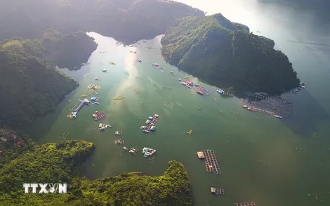 Chiêm ngưỡng vẻ đẹp hùng vĩ và thơ mộng của hồ Hòa Bình