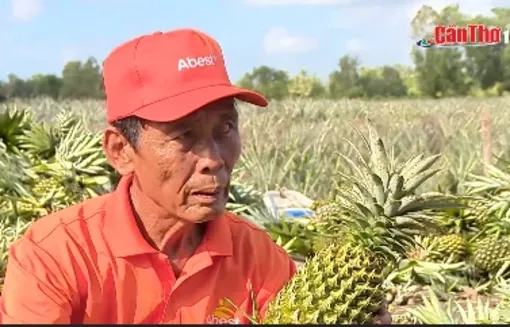 Lan tỏa nét đẹp văn hóa “Vùng đất con người Cần Thơ”