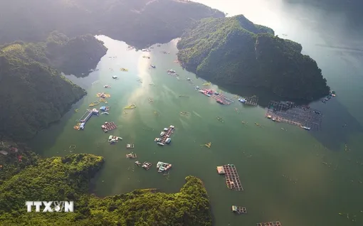 Chiêm ngưỡng vẻ đẹp hùng vĩ và thơ mộng của hồ Hòa Bình