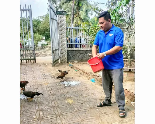 Làm giàu từ mô hình nuôi gà