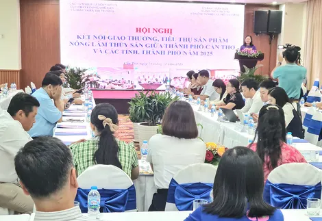 Kết nối giao thương, tiêu thụ sản phẩm nông lâm thủy sản giữa TP Cần Thơ và các tỉnh, thành