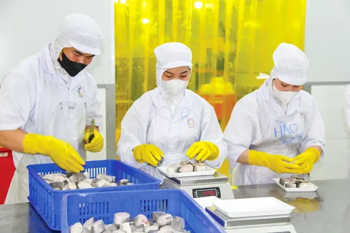 Đảm bảo chất lượng, an toàn thực phẩm sản phẩm nông, lâm, thủy sản