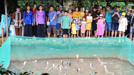 Sử dụng địa danh “Cồn Sơn” để đăng ký bảo hộ nhãn hiệu tập thể về du lịch