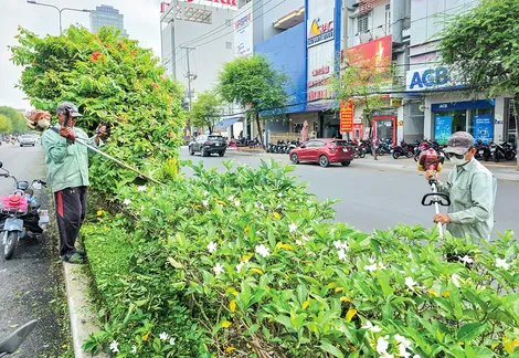 Cần Thơ chỉnh trang đô thị, vệ sinh môi trường đón Tết Nguyên đán