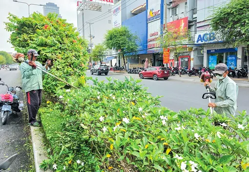 Cần Thơ chỉnh trang đô thị, vệ sinh môi trường đón Tết Nguyên đán