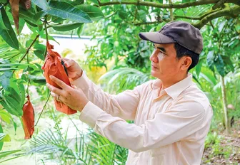 Trái cây tạo hình vào vụ Tết