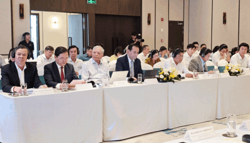 ប្រកាសរបាយការណ៍អំពីជីវភាពតំបន់វាលរាបទន្លេគឺវឡុងនៅវៀតណាម