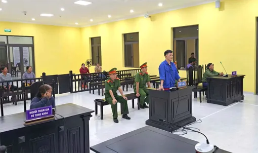 Cà Mau: Đối tượng đánh mẹ, đâm lực lượng chức năng lãnh 11 năm tù