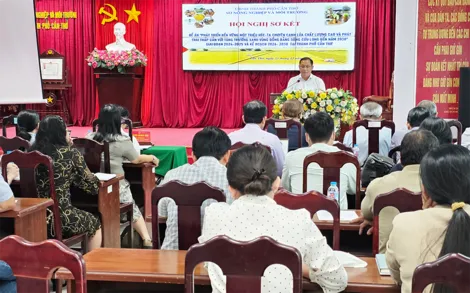 Khắc phục khó khăn, đẩy mạnh thực hiện Đề án 1 triệu héc-ta chuyên canh lúa chất lượng cao, phát thải thấp