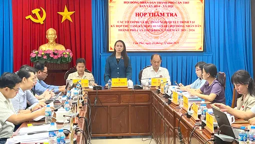 Thẩm tra các tờ trình và dự thảo nghị quyết dự kiến trình tại kỳ họp thứ Tám HĐND thành phố