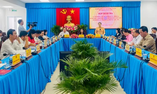 Ban Kinh tế - Ngân sách HĐND thành phố thẩm tra các dự thảo nghị quyết