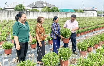 Vận dụng vốn vay ưu đãi,phát triển sản xuất, kinh doanh