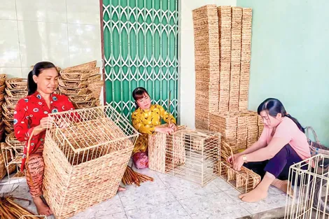 Xã Hỏa Lựu vun bồi sinh kế, nâng cao khả năng chống chịu trước biến đổi khí hậu