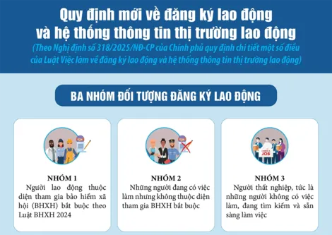[Infographic] Quy định mới về đăng ký lao động và hệ thống thông tin thị trường lao động