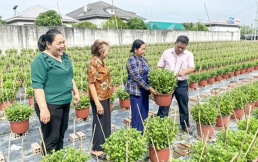 Vận dụng vốn vay ưu đãi,phát triển sản xuất, kinh doanh